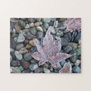 Uns, Wa, Bainbridge Island. Frühmorgenfrost 2