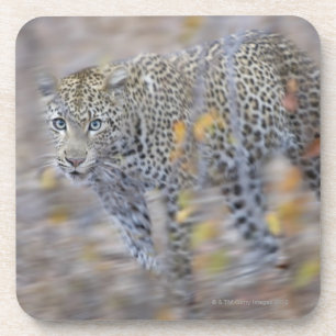 unscharfe Bewegung Getränkeuntersetzer