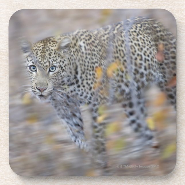 unscharfe Bewegung Getränkeuntersetzer (Vorderseite)