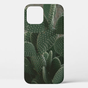 UNSCHARFE FOTOGRAFIE EINER KAKTEE Case-Mate iPhone HÜLLE