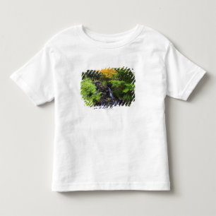 Unscharfer Felsen-Wasserfall, Ahorn-grüne u. Kleinkind T-shirt