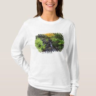 Unscharfer Felsen-Wasserfall, Ahorn-grüne u. T-Shirt