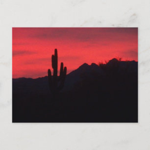 unscharfer Sonnenuntergang - aber musste ihn poste Postkarte