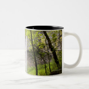 Unscharfer Wasserfall um üppiges Grün in Oregon Zweifarbige Tasse