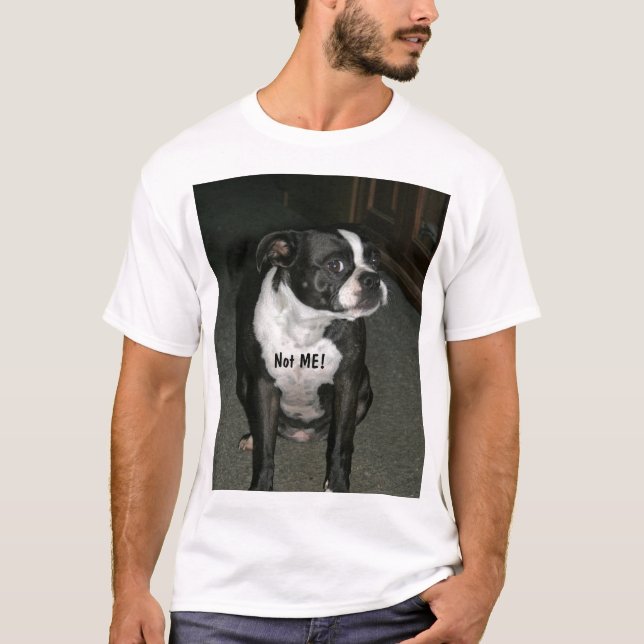Unschuldig-Engel Bostons Terrier T-Shirt (Vorderseite)