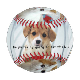 Unschuldige Welpen und Kitten Baseball