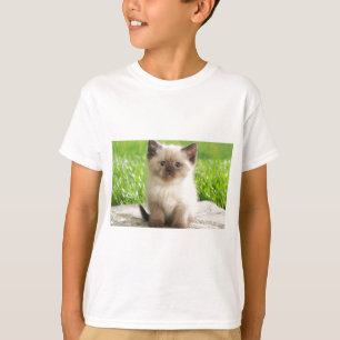 Unschuldiges Ragdoll Kätzchen T-Shirt