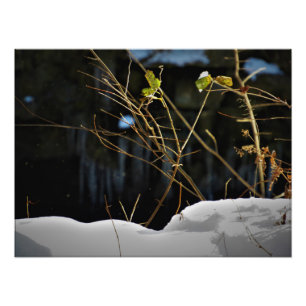 "Unseen Minnesnowta" Fotodruck