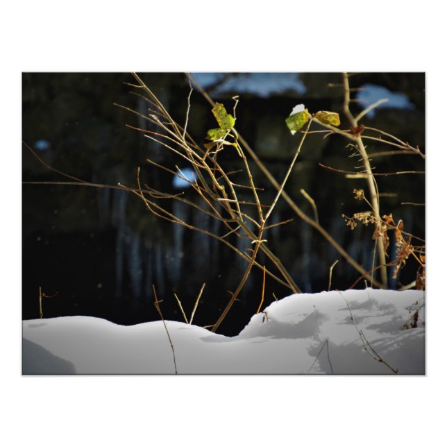 "Unseen Minnesnowta" Fotodruck (Vorne)