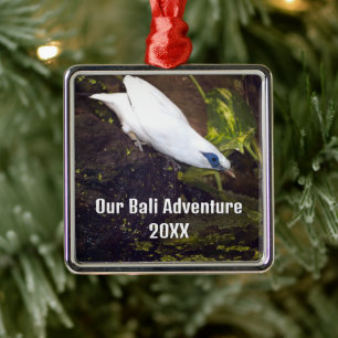 Unser Bali-Abenteuer 2026 Bali-Myna-Vogelkunst Ornament Aus Metall