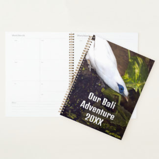 Unser Bali-Abenteuer 20XX Bali-Myna-Vogelkunst Planer