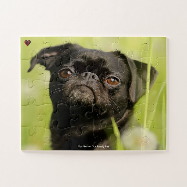 Unser Griffon Hund unser Haustier (Horizontal)