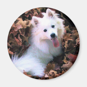 Unser Hund Wiess, das ich fotografierte! Magnet