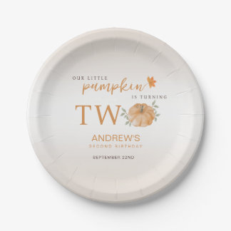 Unser kleiner Pumpkin Herbst 2. Geburtstag Pappteller