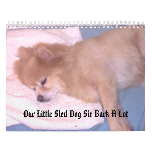 Unser kleiner Schlitten-Hundesir Bark viel Kalender (Titelbild)