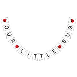 Unser kleines Banner, Ladybug Banner, Geburtstag Wimpelkette
