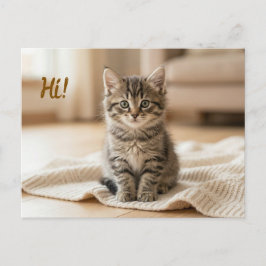 Unser neues Kätzchen-Foto-Ankündigung Postkarte