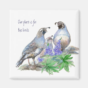 Unser Platz ist für Vögel, California Quail Magnet