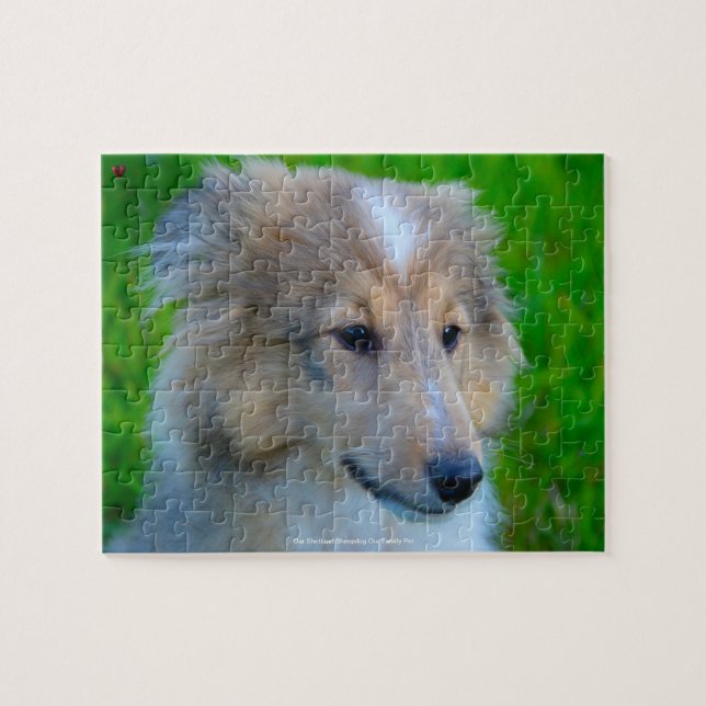 Unser Shetland Sheepdog, unser Haustier (Horizontal)