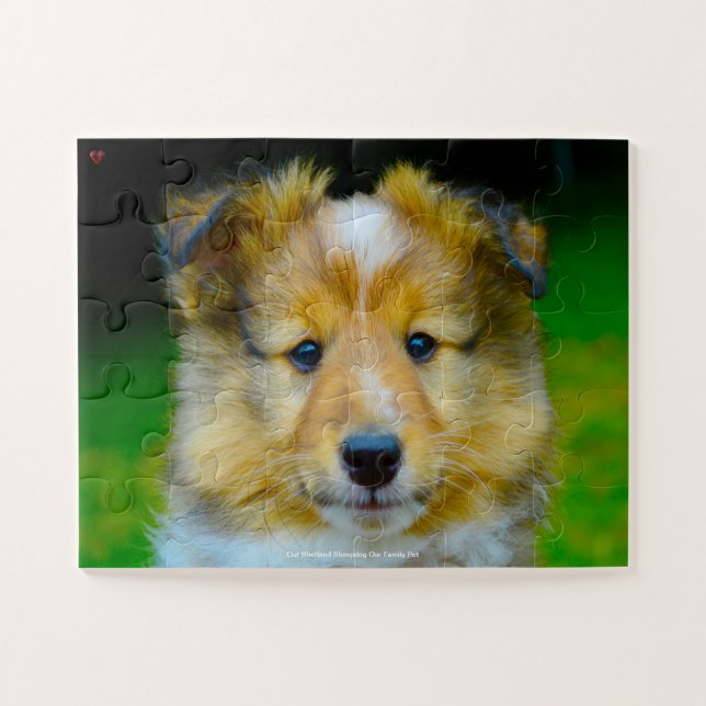 Unser Shetland Sheepdog, unser Haustier (Horizontal)