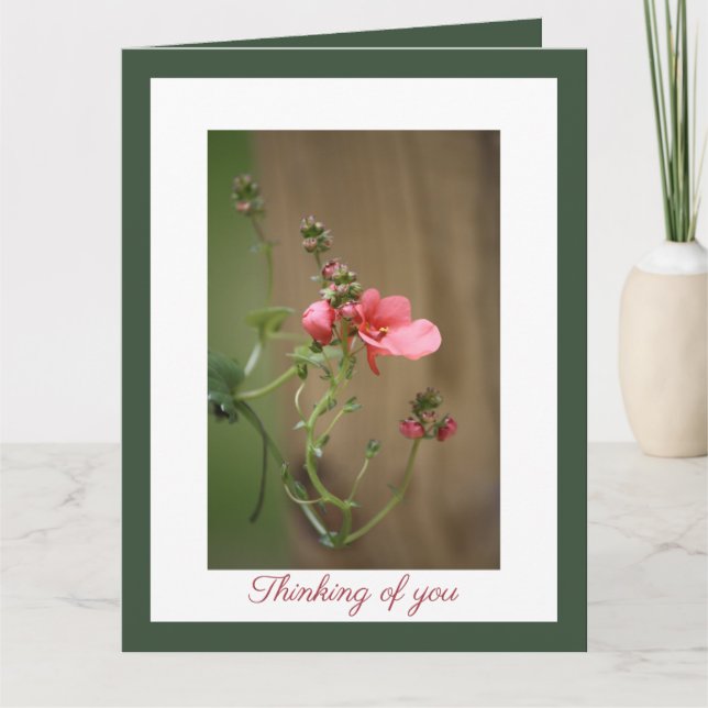 Unser tiefstes Beileid Karte (Vorderseite)