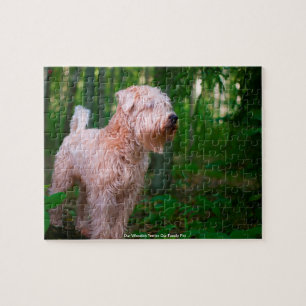 Unser Wheaten Terrier Unser Familienhaustier Puzzl
