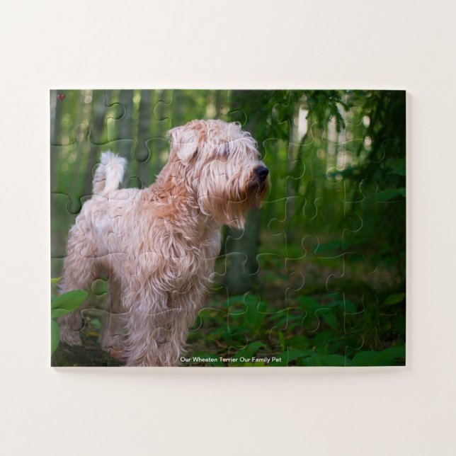 Unser "Wheaten Terrier" unser Haustier (Horizontal)