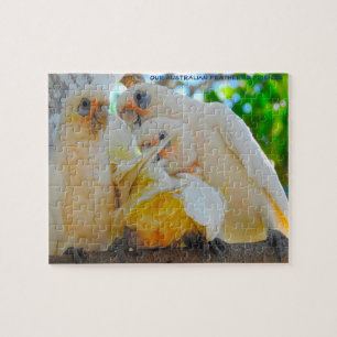 Unsere australischen Feathered Friends