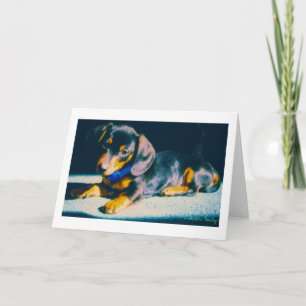 Unsere Bailey-Dackel Karte