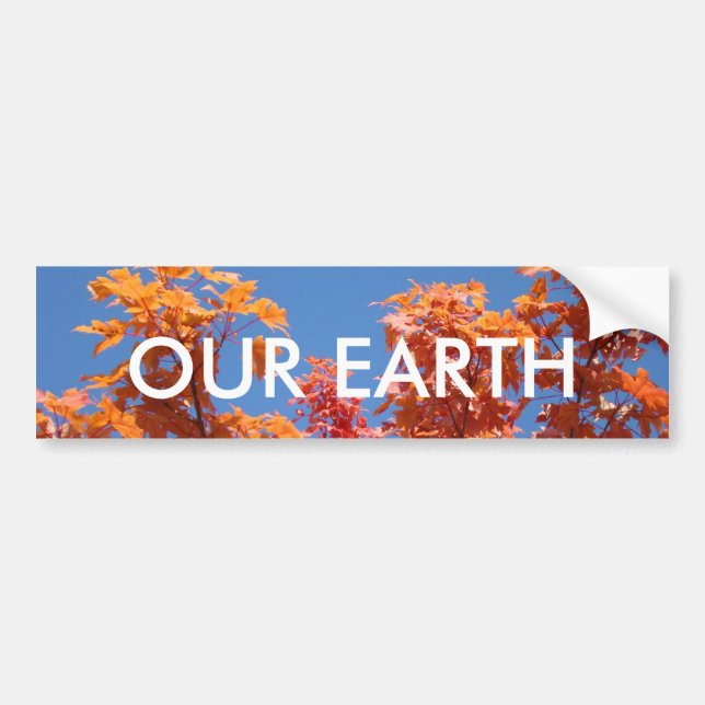 UNSERE ERDE Autoaufkleber Blue Sky Fall Trees (Vorne)