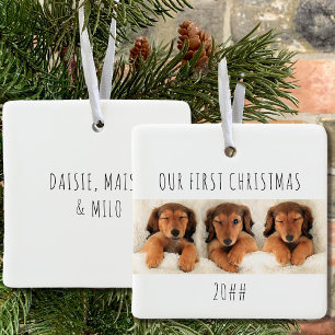 Unsere ersten Welpenhunde Weihnachten Panorama-Fot Keramikornament