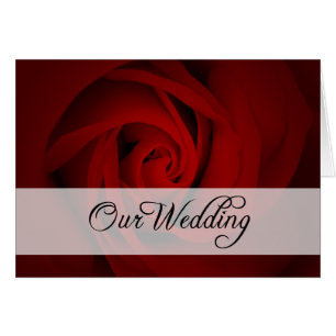 Unsere Hochzeit : Rote Rose :
