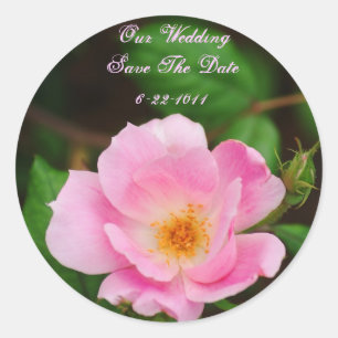 Unsere Hochzeit, Save the Date, rosa Rosa Runder Aufkleber