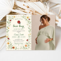 Unsere kleine Love Bug Ladybug-Baby-Party