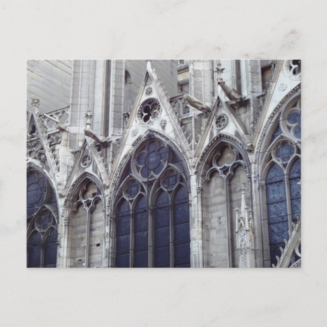 Unsere Lady of Paris-Fliegenschaukeln Postkarte (Vorderseite)