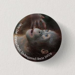 Unsere Orangutane gerettet Button