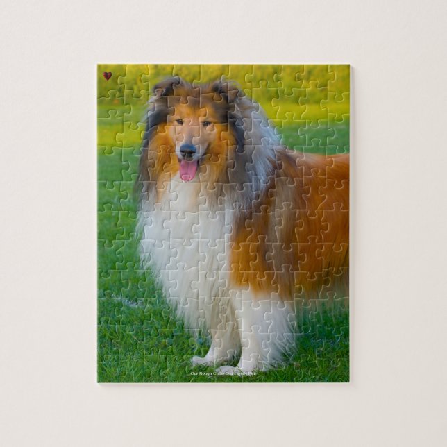 Unsere Rough Collie unser Haustier (Vertikal)