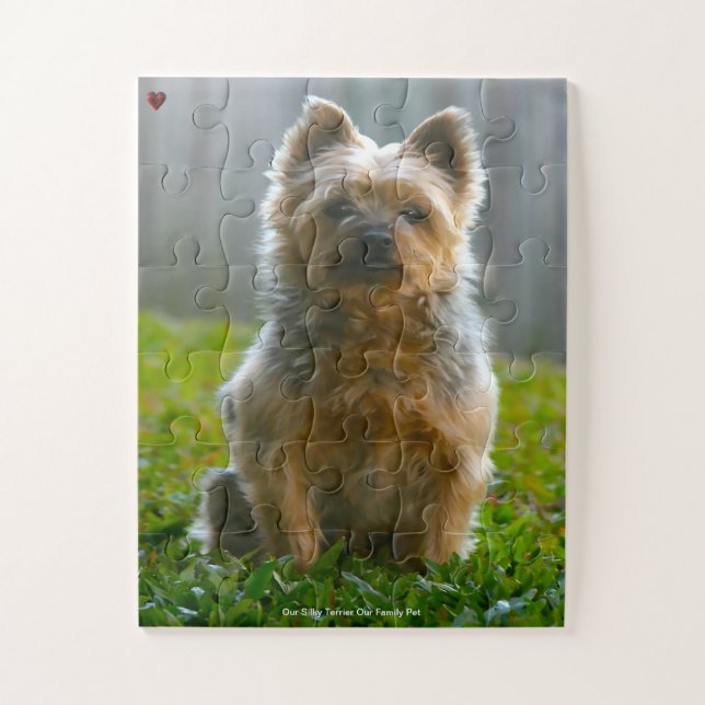 Unsere Silky Terrier unser Haustier (Vertikal)