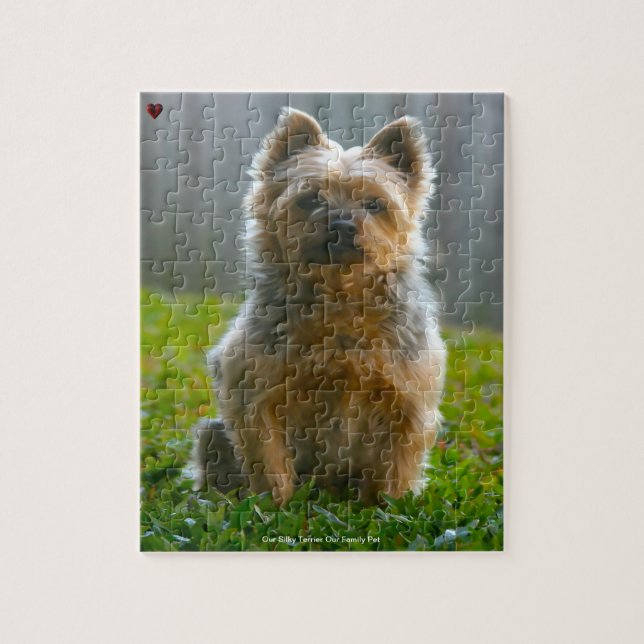 Unsere Silky Terrier unser Haustier (Vertikal)