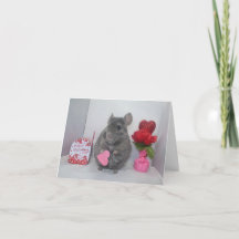 Unsicherer Chinchilla-Valentinstag