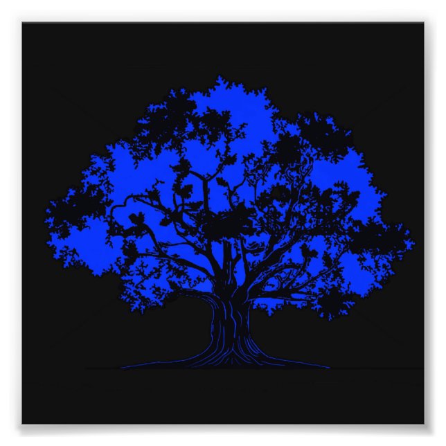 Unsichtbare Eiche Fotodruck (Vorne)