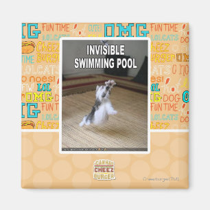 Unsichtbarer Swimmingpool Magnet