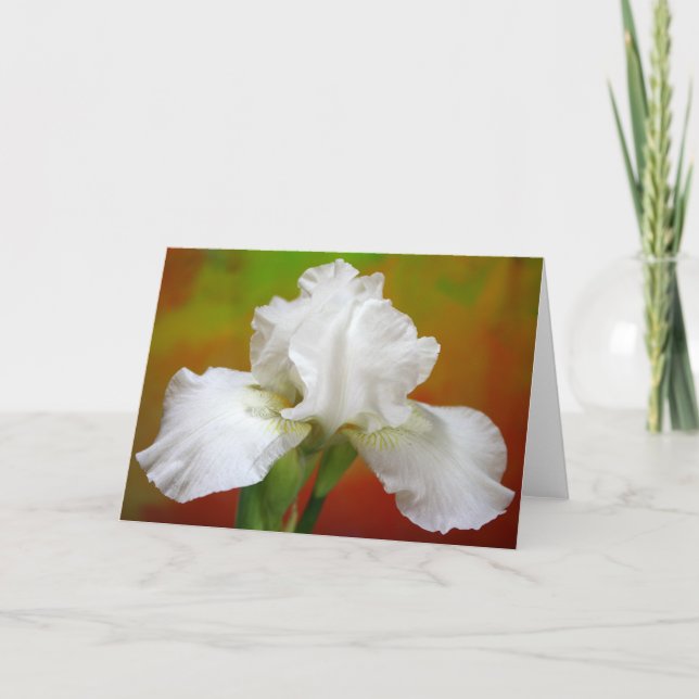 "Unsterblichkeit" Iris Fotografie Feiertagskarte (Vorderseite)