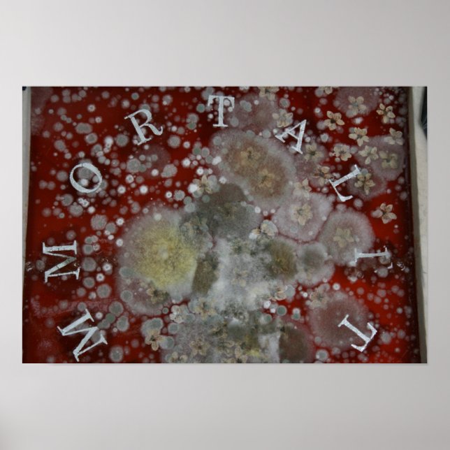 Unsterblichkeit Poster (Vorne)