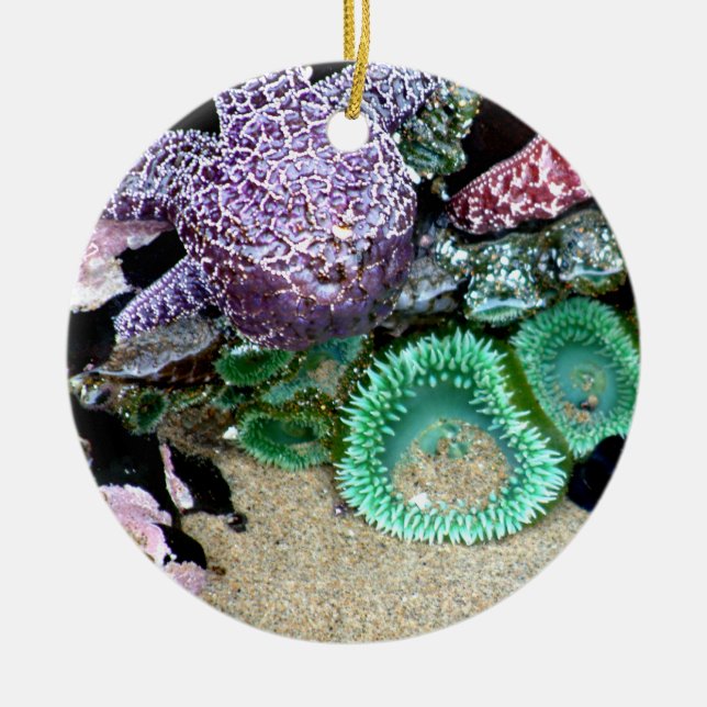 Unten durch die Seeweihnachtsverzierung Keramik Ornament (Vorne)