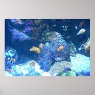 Unter dem Meerplakat Poster