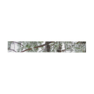 Unter dem schneebedeckten Kiefernwald WinterFoto