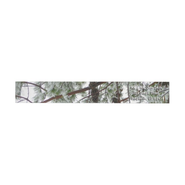 Unter dem schneebedeckten Kiefernwald WinterFoto (Person)