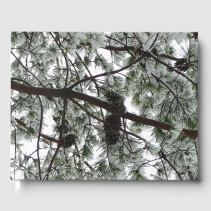 Unter dem schneebedeckten Kiefernwald WinterFoto Gästebuch