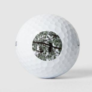 Unter dem schneebedeckten Kiefernwald WinterFoto Golfball